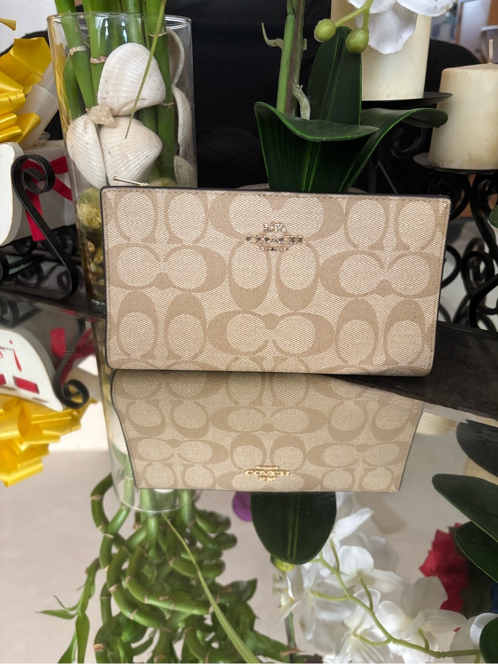 Coach Slim Zip Continental Wallet - Light Chalk